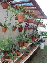 Orchid Grow Station Need This For The Side Of My House To Keep Non Bloom Time Orchids Backyard Garden Landscape Small Backyard Gardens Backyard Garden Design