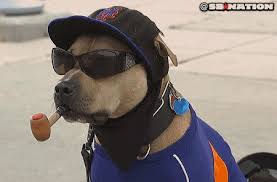 We did not find results for: Ilmu Pengetahuan 8 Dog Glasses Gif