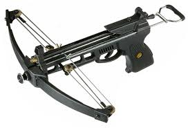 Pics For Compound Crossbow Pistol Crossbow Compound Crossbow Crossbows