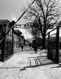 Arbeit Macht Frei Work Sets You Free Roneil Callo By Sunil Sharma Medium