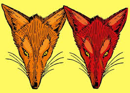 Cute Fox Drawing Poster Print By Shahena Displate Cute little fox drawing step by step for kids. cute fox drawing