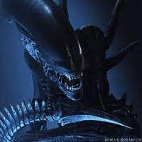 Share your favorite gif now. Xenomorph Gifs Get The Best Gif On Giphy