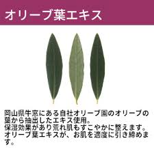 オリーブマノン オリーブリーフローション 銀葉水 化粧水 混合肌 オリーブ化粧品の日本オリーブ公式通販