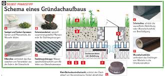 Dachbegrunung Selbst De Dachbegrunung Dachbegrunung Aufbau Dach