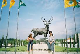 Estimated price for 1 night/2 adults. Vila Nova De Cerveira Mapio Net