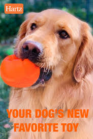 Dura Play Hartz In 2020 Durable Dog Toys Dog Toys Dogs