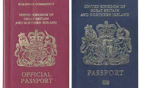 Citizenship by descent is not automatic and must be acquired through an application. A Brexiteer S Quandary Should I Claim My Irish Passport And Enjoy Different Rights To My Fellow Britons