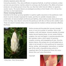 Flowers in the huasco region of the atacama desert, 400 miles north of santiago, chile. Is This Mahameru Flower That Blooms Once Every 400 Years In The Himalayas Here S The Truth Newsmobile
