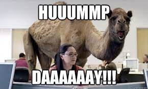 Geico hump day camel commercial happier than a camel on wednesday. Hump Day