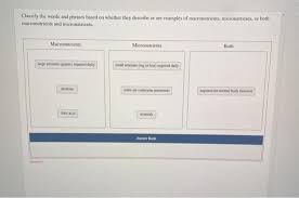 Plant growth is limited by the nutrient that is in the shortest supply (fig. Solved Classify The Words And Phrases Based On Whether Th Chegg Com