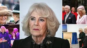 Ros Wynne-Jones: 'Universal Credit claimants want to know why no one  listens to them'