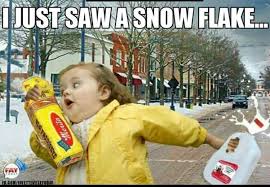 Panic I Just Saw A Snowflake