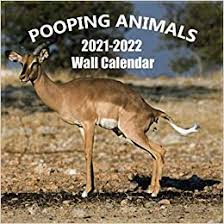 Amazon Com Pooping Animals 2021 2022 Wall Calendar Hilarious And Rare Pooping Animal Gag Gifts Calendar 2021 2022 Very Funny Gift 18 Months Calendar 9781952663833 Parker Jordan Books · 5 january 2021 ·.