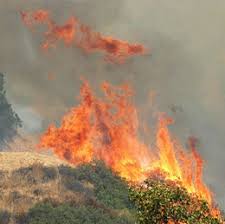 Fire Zone | Los Angeles Fire Department