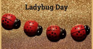 Cut to size, 10 covers per sheet. Lady Bug Day Review