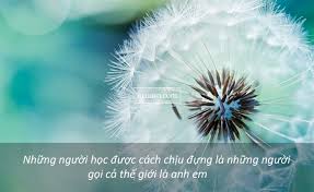 Káº¿t quáº£ hÃ¬nh áº£nh cho DANH NGON HINH ANH VE GIOI TRE