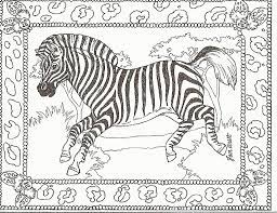 In this website, you will find several printable zebra coloring pages that show these animals in both cartoonish and realistic settings. Printable Pictures Of Zebras Coloring Home
