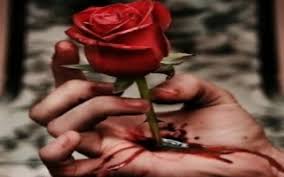 Animasi bergerak pendidikan untuk powerpoint, animasi bergerak power point pendidikan lucu. Mawar Berduri Tulip