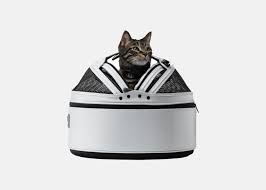 We did not find results for: 13 Best Airline Approved Pet Carriers For Dogs Or Cats Conde Nast Traveler