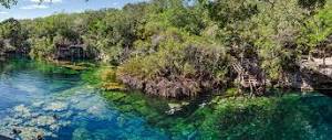 Cenote Jardin del Eden (Ponderosa) | Visitor Info [2024]