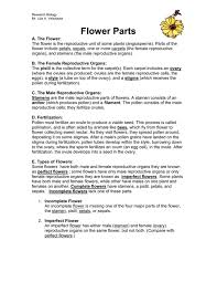 In this lesson, we study about the different parts of flowers of the mustard plant. Flower Parts