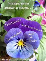 Ich möchte ihnen ausrichten, dass ich von 12 uhr bis 19 uhr am werktage nechster 2 woche auf sie warten werde. 12 Schonen Tag Wunschen Ideen Schonen Tag Wunschen Schonen Tag Guten Morgen Lustig