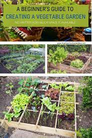 Beginners Guide To Growing A Vegetable Garden At Home Vegetable Garden For Beginners Garden Care Growing Vegetables At Home