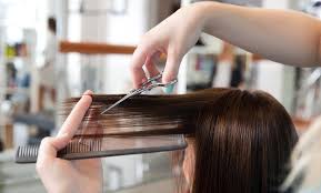 1196 w boughton rd # g, bolingbrook. Embracing Shear Beauty From 29 Bolingbrook Il Groupon
