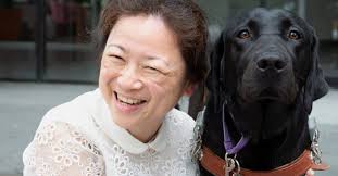 Guide dogs show the way at social impact measurement…