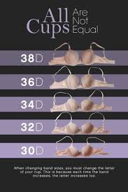 The Graduation Of A Cup Bra Hacks Bra Styles Bra Pattern