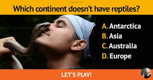 This post was created by a member of the buzzfeed commun. Top 12 Trivia Questions You Will Trivia Quiz Quizzclub