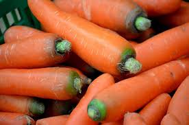 Where to plant carrots in the garden. How To Grow Carrots At Home Gardening Site