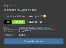 Since the game attracts a wide range of age. Server For Minecraft