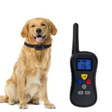 The first model to talk about here is one that immediately suggest good choosing the best dog training collars for your dog. Wellturn Remote Control Pet Training Collar 330 Yard Range Pts 008 At Tractor Supply Co