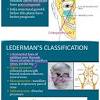 Cap nasal cavity and paranasal sinuses protocol summary of changes. Https Encrypted Tbn0 Gstatic Com Images Q Tbn And9gctwnrnwaaddmobelc5ae Rthgk9yr6al Ljhrvt9mtax1drwqgs Usqp Cau