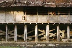 Hal ini menandakan bahwa masyarakat. Omo Sebua Dan Omo Hada Rumah Tradisional Nias Yang Tahan Gempa Arsitag