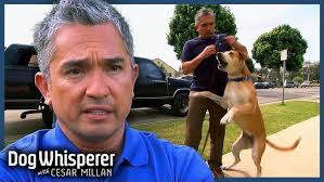 The Importance of Focus