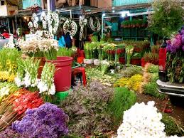 Un día antes del cierre del mercado de jamaica, los locatarios decidieron rematar su flores, ya que la suspensión de actividades será de 10 días. Flower Plant Market Review Of Mercado De Jamaica Mexico City Mexico Tripadvisor