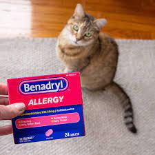 Benadryl For Cats