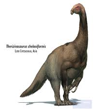 Image result for Dyschoriste multicaulis