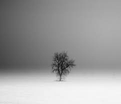 By Derek Toye Black And White Landscape Surreal Photos Black And White