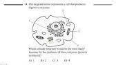 Algebra 1 regents exam jan. Algebra 1 Practice Final Exam Jan 2020 Regents Exam Review Part 1 Youtube