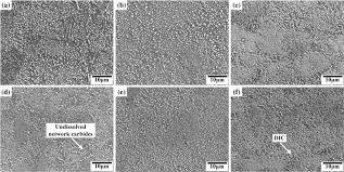 'radio e televisao de portugal channel what does rtp1 mean? Sem Micrographs Of Samples Rolled By Rtp1 Rtp2 And Rtp3 With Different Download Scientific Diagram
