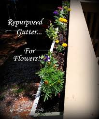 Gentle Joy Homemaker Repurposed Gutter For Flowers Flower Planters Flowers Gutter