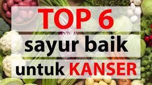 Hampir 200 jenis kanser boleh dihidapi manusia. Top 6 Jenis Sayur Yang Terbaik Untuk Kanser Dr Noordin Darus Youtube