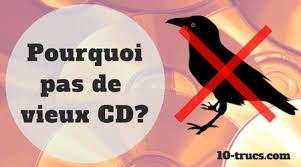 Un poulailler rassemble des convoitises multiples et, par conséquent, attire des prédateurs multiples : Eloigner Les Corbeaux 10 Trucs Pour Les Faire Fuir