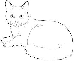 dessins de chats a colorier chat coloriage dessin fleurs benjamin