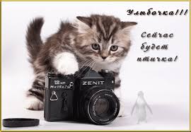 Jul 12, 2021 · день фотографа отмечается 12 июля / фото униан. Den Fotografa 2019 Pozdravleniya I Otkrytki S Dnem Fotografa Samye Interesnye Pervye Fotografii V Istorii Chelovechestva