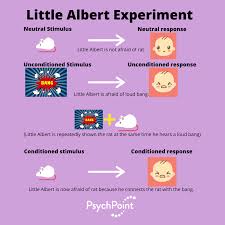 Pin On Mental Health Support