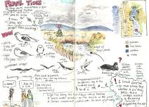 Field Trip: Baylands Nature Journaling Experience!